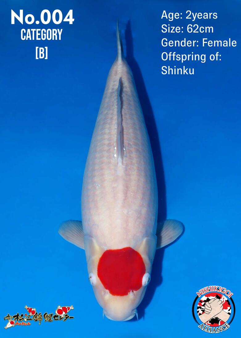 1st BIG5 GROW-OUT NISAI AUCTION 2026