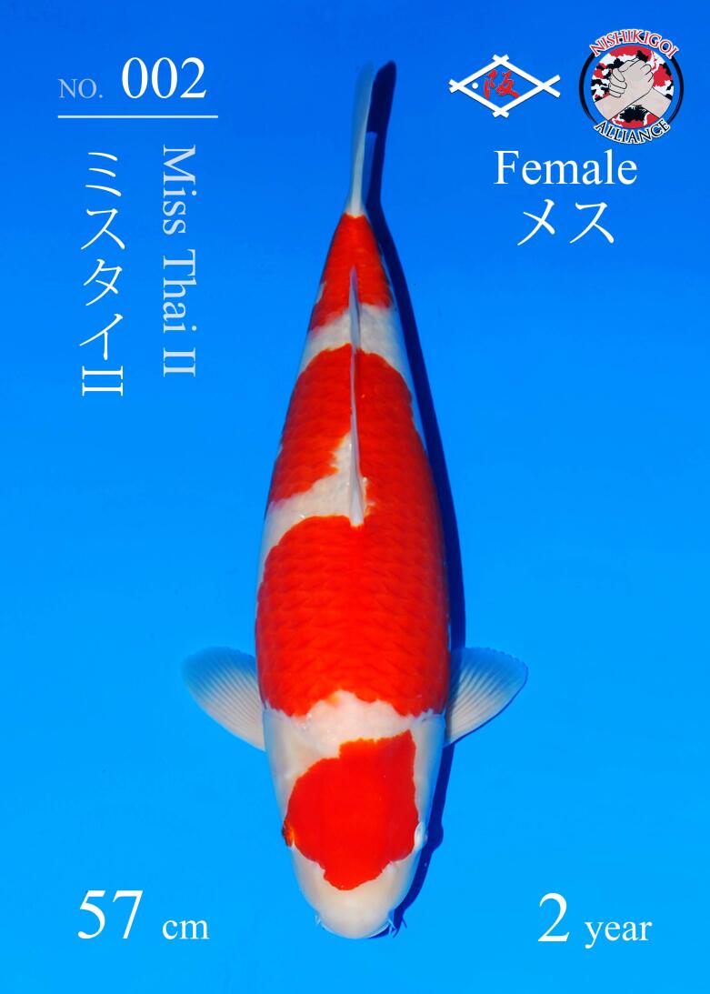 1st BIG5 GROW-OUT NISAI AUCTION 2026