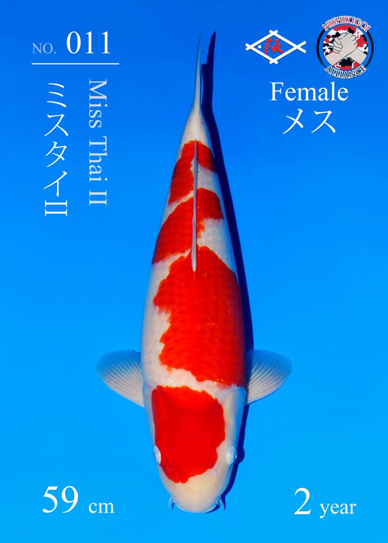 1st BIG5 GROW-OUT NISAI AUCTION 2026