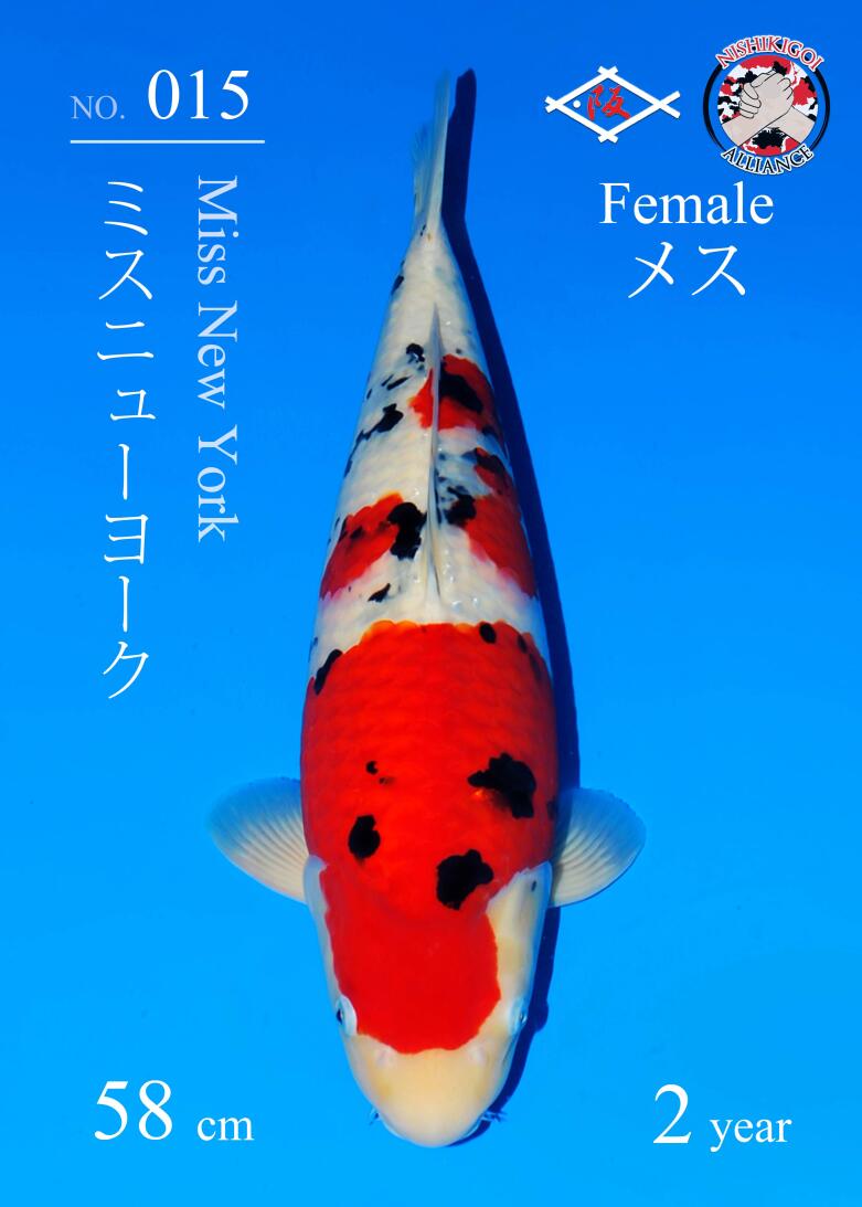 1st BIG5 GROW-OUT NISAI AUCTION 2026