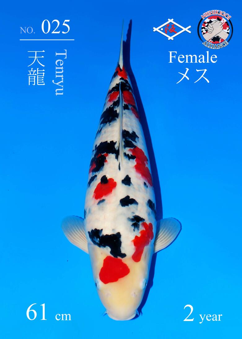 1st BIG5 GROW-OUT NISAI AUCTION 2026