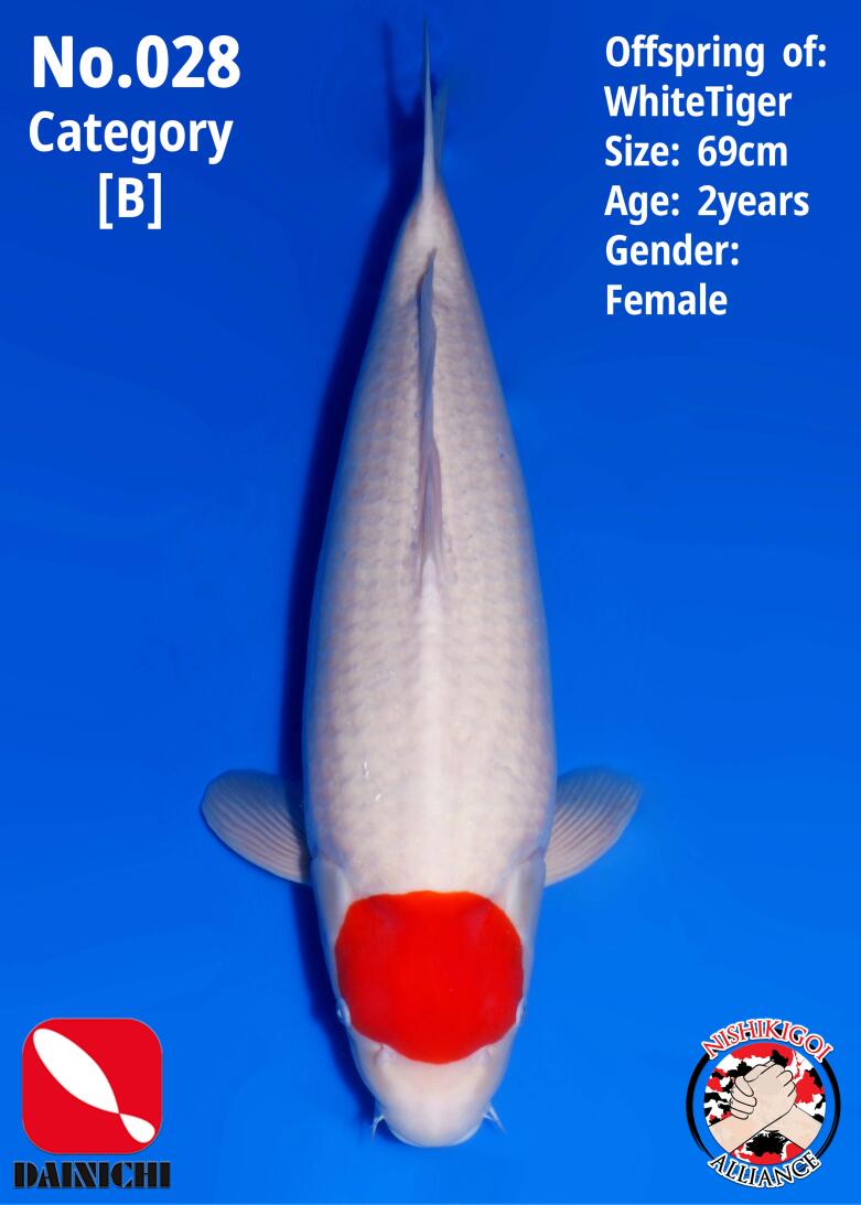 1st BIG5 GROW-OUT NISAI AUCTION 2026