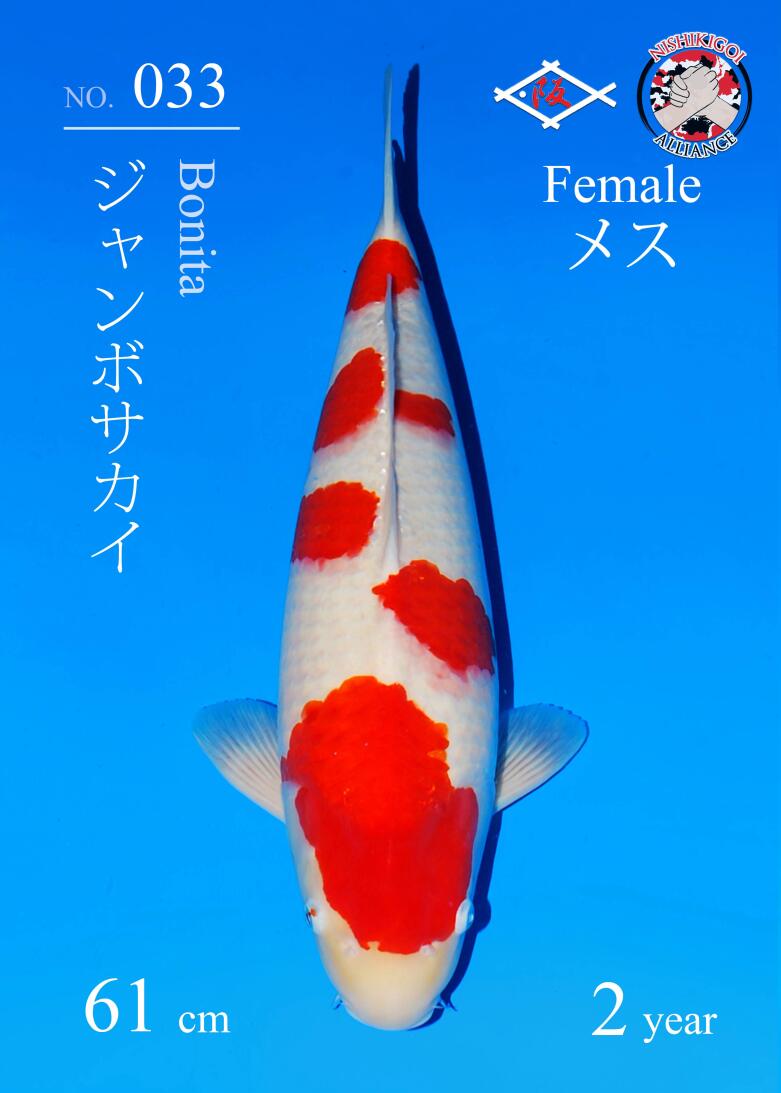 1st BIG5 GROW-OUT NISAI AUCTION 2026