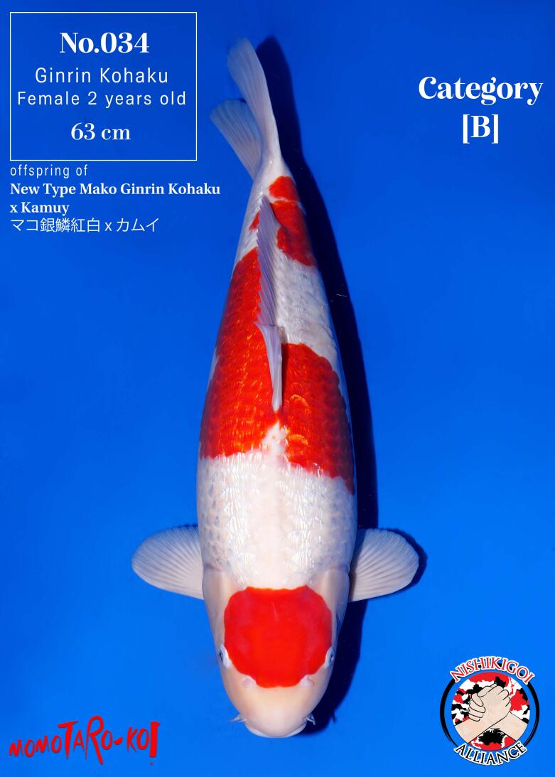 1st BIG5 GROW-OUT NISAI AUCTION 2026