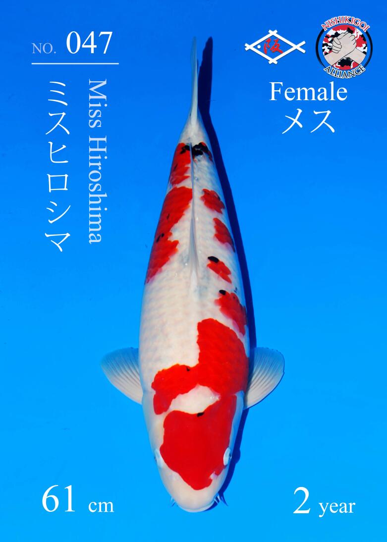 1st BIG5 GROW-OUT NISAI AUCTION 2026