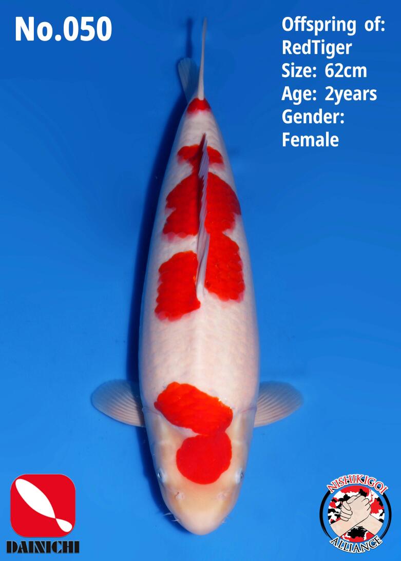 1st BIG5 GROW-OUT NISAI AUCTION 2026