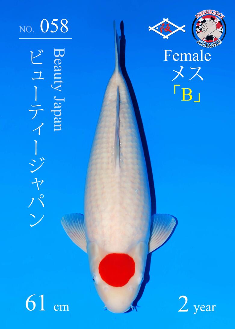 1st BIG5 GROW-OUT NISAI AUCTION 2026