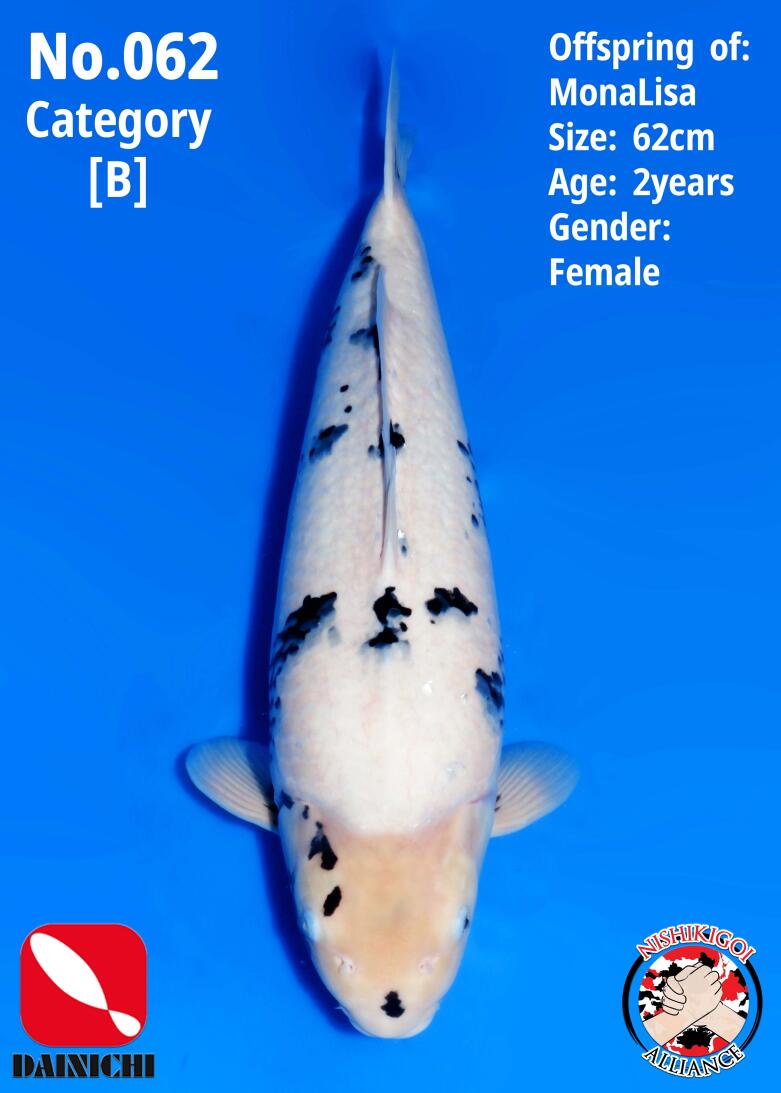 1st BIG5 GROW-OUT NISAI AUCTION 2026