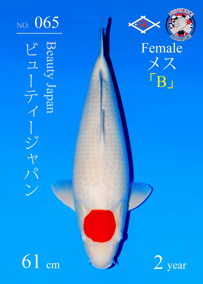 1st BIG5 GROW-OUT NISAI AUCTION 2026